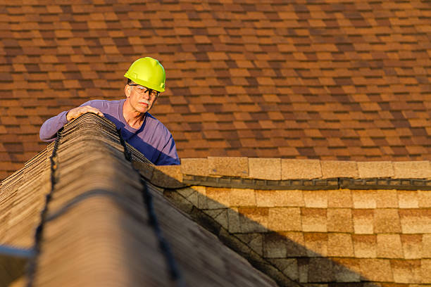 Best Roof Gutter Cleaning  in Stro Valley, CA